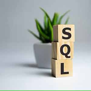 Project : Implement SQL-RDBMS from Scratch in C/C++ 2024-1