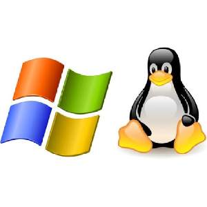 Udemy — Linux Commands and Windows Powershell Commands in same time 2023-3