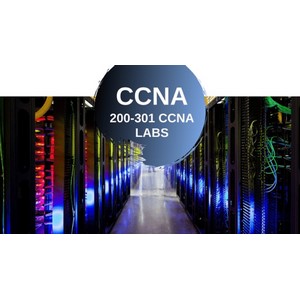 시스코 CCNA 200-301 실험실은 단순히 종이 확실한 것이 아닙니다. 2025-3
