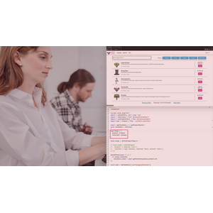 Pluralsight — Vue 3 Playbook 2023-10