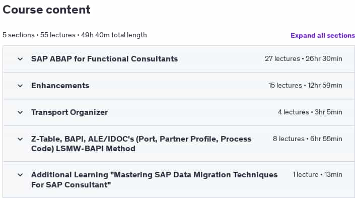 Course topics · Udemy — SAP ABAP For SAP Functional Consultants 2025-1/2025-3