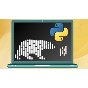 Mastering Polars: Fast Data Processing & Big Data Analysis 2025-3