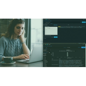 Elastic Stack: Getting Started 2024-10