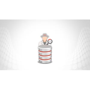Auditing Oracle Databases – Enhance Database Security 2023-8