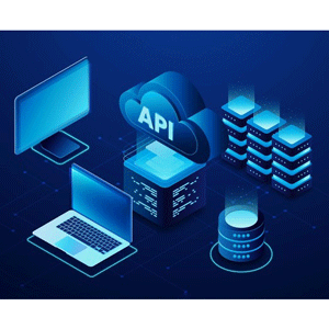 API Mastery: Understand, Create and Monetize Your Own API 2025-7