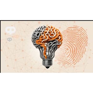 NLP Practitioner Training (Neuro-Linguistic Programming) 2024-11