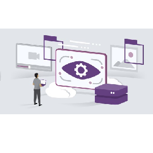 Azure AI Engineer Associate (AI-102) Cert Prep: Implement Computer Vision Solutions 2024-4