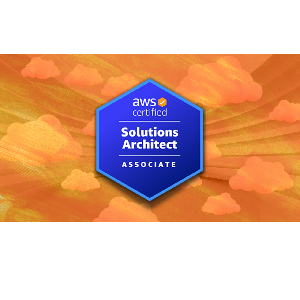 ZeroToMastery – AWS Certified Solutions Architect: Zero to Mastery 2025-4