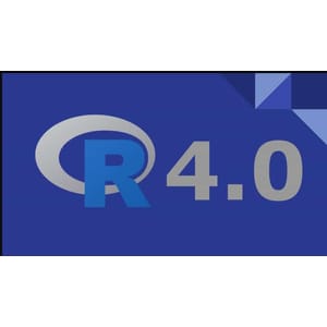 2025 R 4.0 Programming for Data Science || Beginners to Pro 2024-12