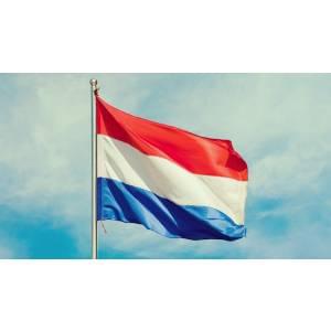 Udemy — Learn Dutch in Dutch 3: master the 1000 most used words 2022-7