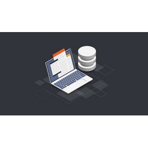 Udemy — Mastering ASP.NET Core MVC From Scratch Using C# 2021-11