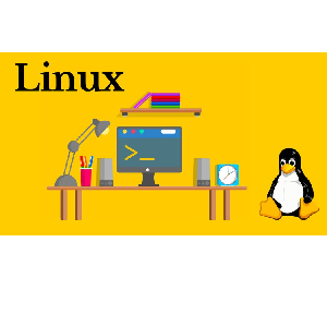 Udemy — Linux Mastery: From Beginner to Confident Linux User 2024 2023-3