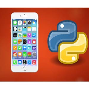 Appium – Mobile App Automation in Python (Basics + Advance) 2024-5
