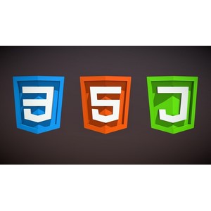 Udemy — Web development basics in 60 min: HTML, CSS and JS 2024-8