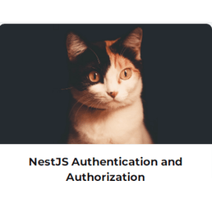 Learn NestJS – NestJS Authentication and Authorization 2022-12