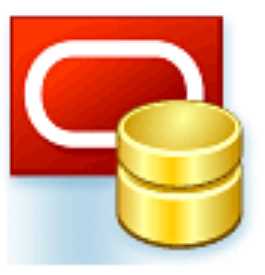 Oracle Maestro Profis 16.1.0.5
