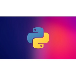 重要 Python 编程 - 级别1 2022-11
