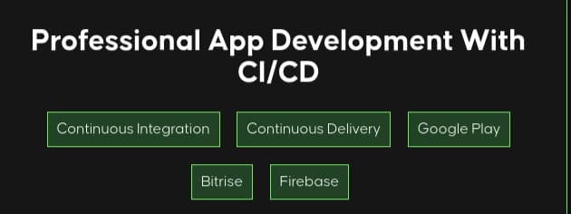 Pictures · Pl Coding — Professional App Development With CI/CD 2023-1