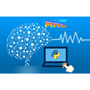Análisis EEG/ERP con Python y MNE: Un curso introductorio 2025-7