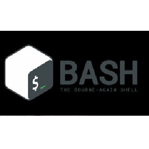 Udemy — Bash Shell Scripting: A Complete Guide for Beginner 2023-7