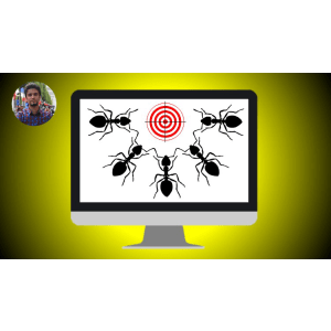 Udemy — Combinatorial Problems and Ant Colony Optimization Algorithm 2018-11