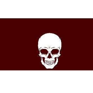 Use Kali Linux like a hacker with Red Team Tactics 2023-3