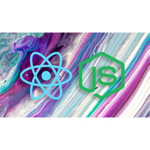 React Node MERN Stack from Scratch building Social Network 2022-11