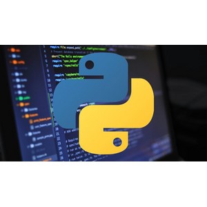 Udemy — Python Asyncio: High-level API 2024-3