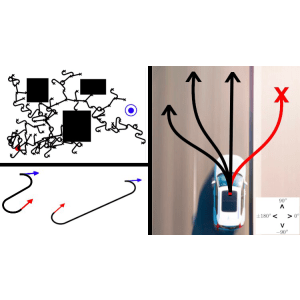 Udemy — Autonomous Robots: Nonholonomic Motion Planning Algorithms 2023-4
