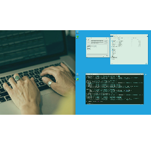 Pluralsight — Specialized DFIR: Windows Registry Forensics 2023-4