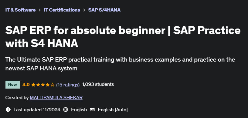 Pictures · Udemy — SAP ERP for absolute beginner | SAP Practice with S4 HANA 2024-11