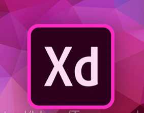 Udemy — UI/UX design with Adobe XD: Design Prototype a Mobile App