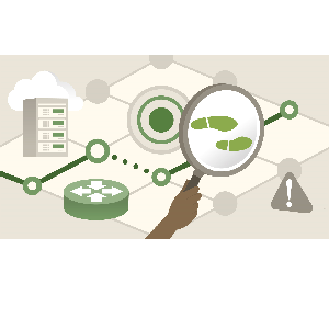 LinkedIn — Network Forensics 2025-1