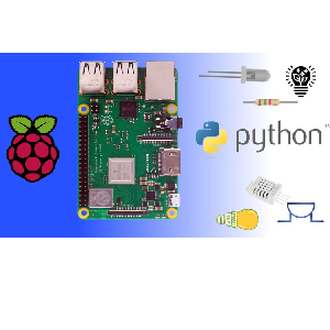 Raspberry Pi Mastery 2024: Programming, Electronics and IoT. 2023-6