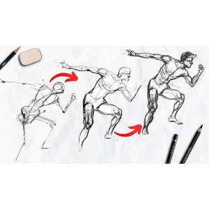 Udemy — Masterclass in Figure Drawing Techniques and Human Anatomy 2023-2
