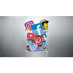 VIP Digital Marketing Master Course : 31 Courses in 1 2021-11