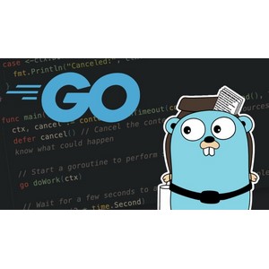 Udemy — Backend Engineering with Go 2025-3