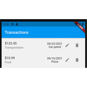 Laravel Daily — Flutter Mobile App with Laravel API 2021-9