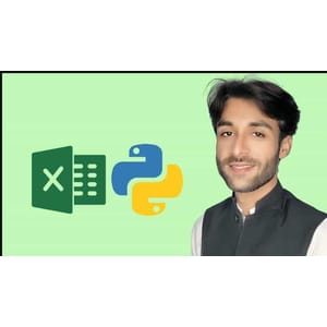 Python Excel (OpenPyXL) Programming with Coding Exercises 2024-9