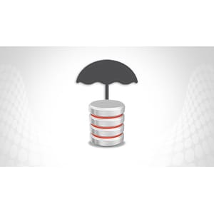 Oracle Database 12c Backup and Recovery using RMAN 2020-9