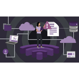 LinkedIn — Wireless Networking: Advanced Troubleshooting 2024-12