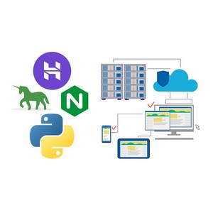 Udemy — Deploy Django application on Hostinger server VPS 2024-10