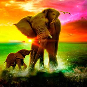 PostgreSQL 数据库管理 Windows/Linux部分 1 2024-3