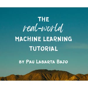 Real World Machinelearning — The Real-World ML Tutorial 2025-9