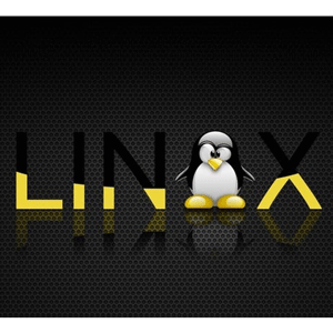 Linux بوتکمپ 2025سیکھنا Linux نیچے میں 3 گھنٹوں 2025-7
