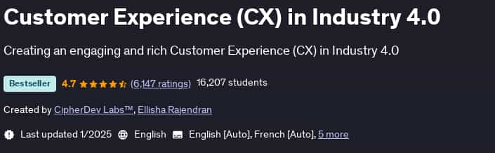 Pictures · Udemy — Customer Experience (CX) in Industry 4.0 2025-1