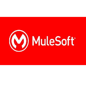 Udemy — MULESOFT INTEGRATION ARCHITECT 2024-3