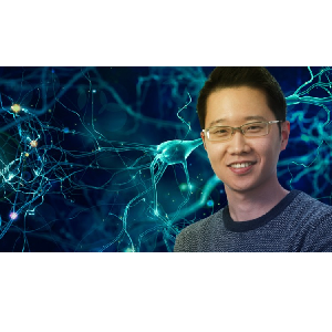 Deep Learning for Beginners: Core Concepts and PyTorch 2023-5