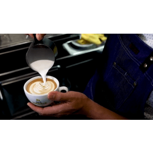 Udemy — Professional Barista Level 1 Cert. Program – Espresso Coffee 2020-11