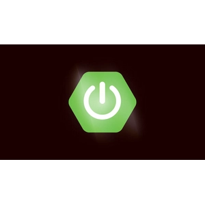 AmigosCode — Advanced Spring Boot 2025-8